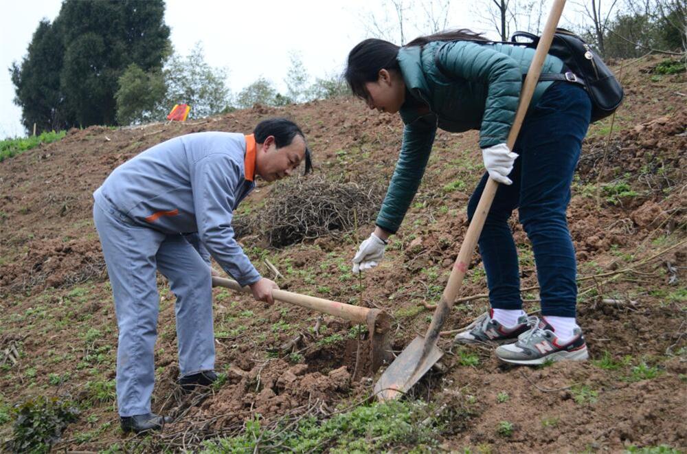 1562315524738622.jpg 2.jpg