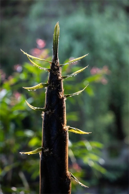 1588232031247813.jpg 微信圖片_20200430151435.jpg