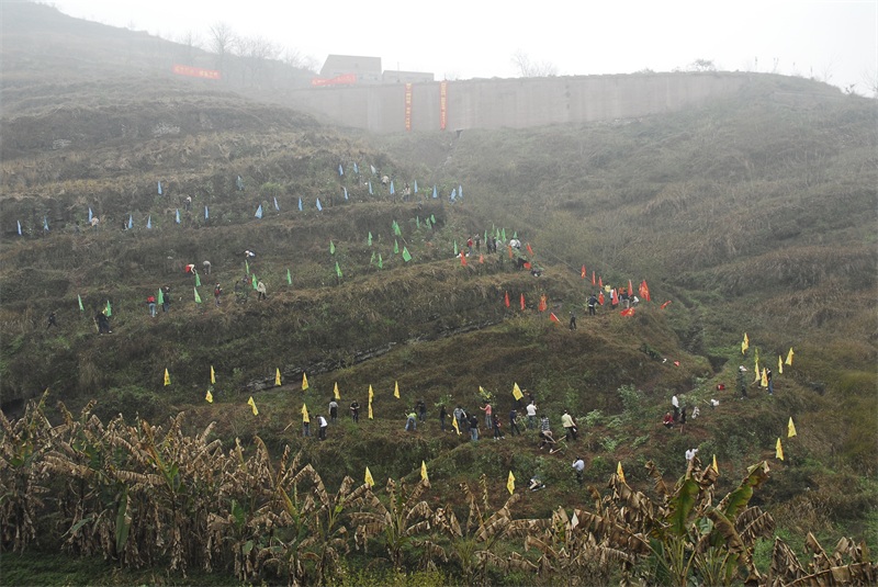 7 2008年重慶沙坪.JPG